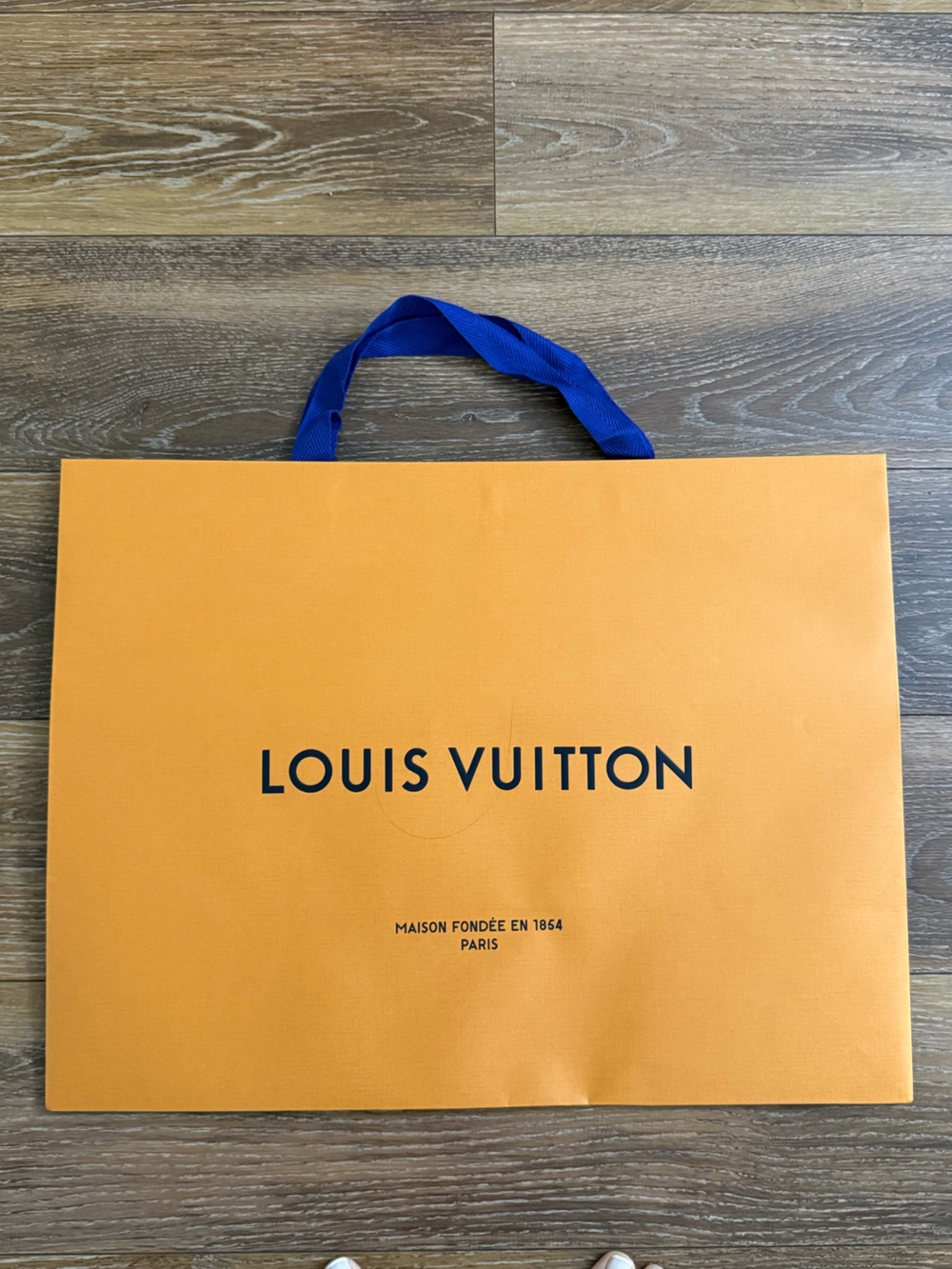 Louis Vuitton Men's Shopping Bag - Orange with Blue Handles